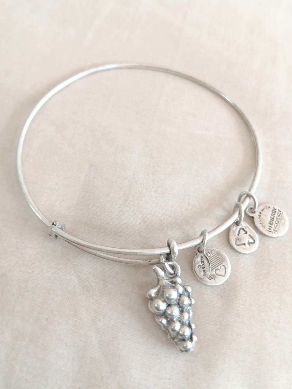 Alex And Ani Grapes Charm Adjustable Bangle - Silver
